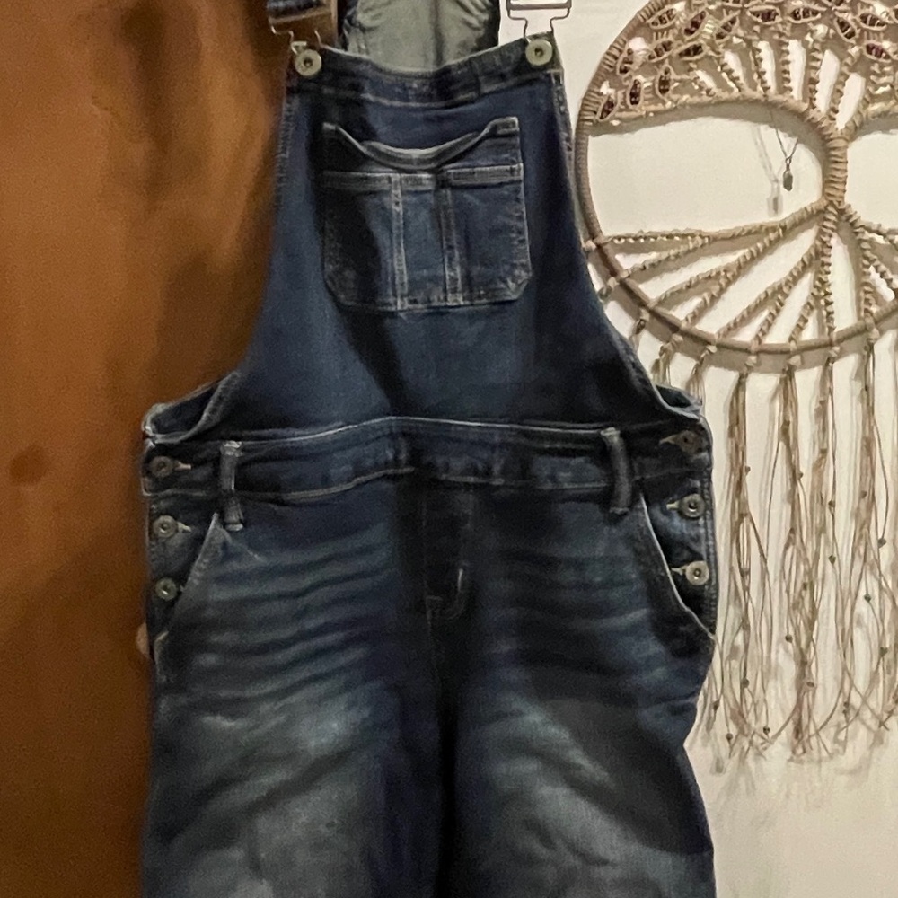 Torrid Dark Blue Denim Overalls